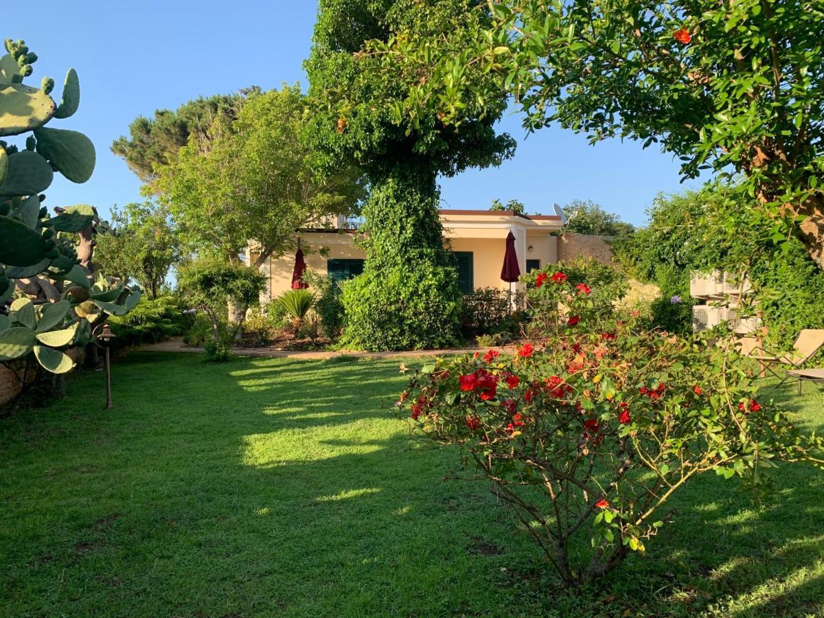 Villino Eleonora Bed & Breakfast Parghelia Exterior foto