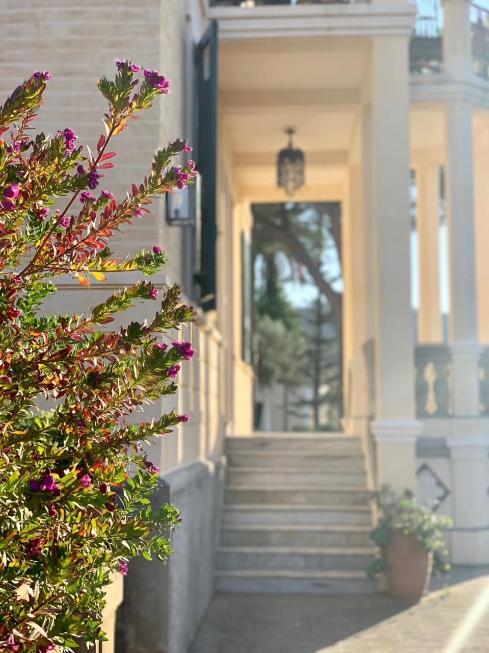 Villino Eleonora Bed & Breakfast Parghelia Exterior foto