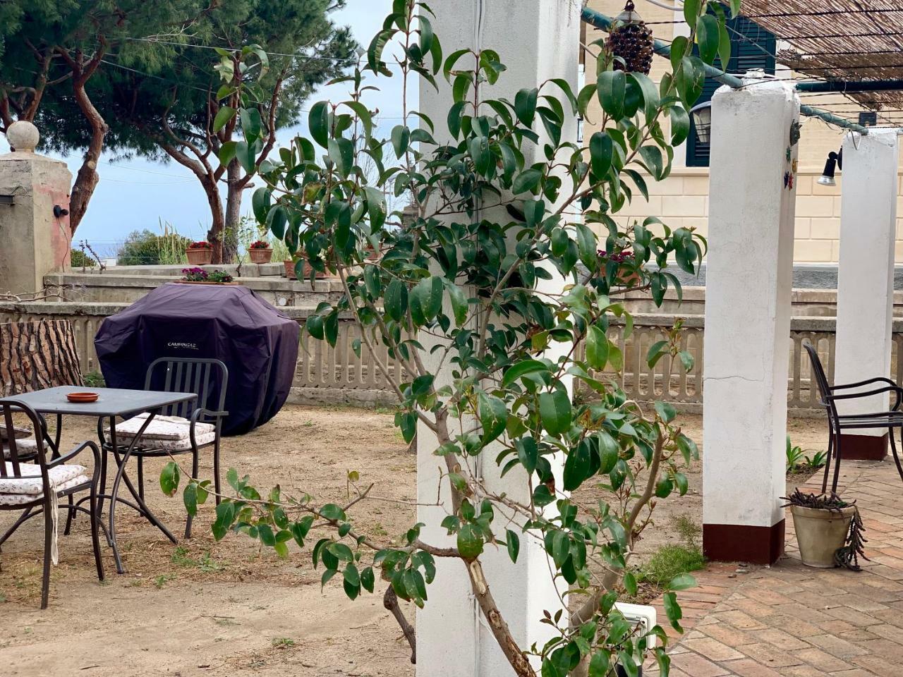 Villino Eleonora Bed & Breakfast Parghelia Exterior foto